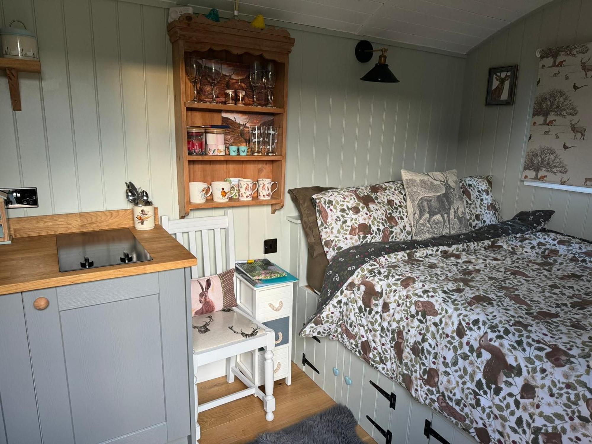 Forest View Shepherd Hut Ewhurst Exterior foto